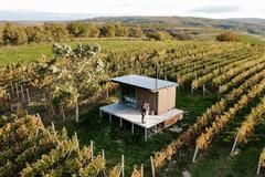 Glamping Ve vinohradě