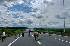 kůň Převalského, Pražský okruh,
