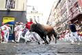 Španělsko, Pamplona, San Fermin, bejci