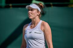 Linda Nosková, Wimbledon 2025