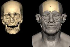 lebka, 3D lebka, egypt