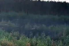 Optická vlákna z dronů rozsetá po lesích na Ukrajině