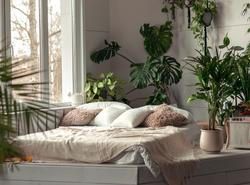 Rostliny v ložnici
