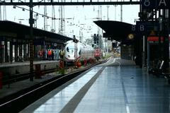 Ve Frankfurtu nad Mohanem zemřel osmiletý chlapec. Muž ho shodil pod vysokorychlostní vlak ICE