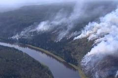 Na Sibiři hoří kvůli vedru a suchu skoro milion hektarů lesa