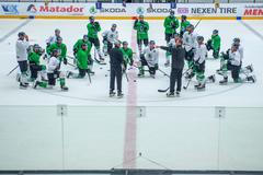 Mladá Boleslav před sezonou 2019/20