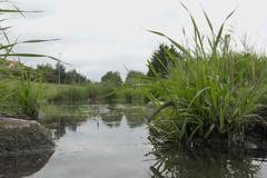 Voda odtéká z Česka příliš rychle. Řeky a potoky se musejí začít znovu kroutit