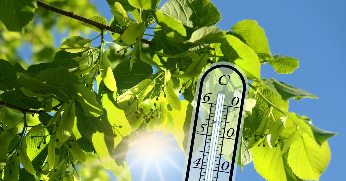Sobota byla prvním tropickým dnem roku, stanice Doksany pokořila 30 stupňů