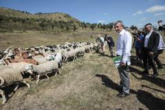 Andrej Babiš, Richard Brabec, ovce a vypouštění syslů