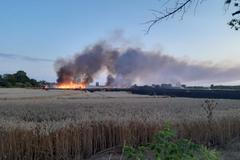 Při požáru pole na Kutnohorsku shořelo 53 hektarů obilí
