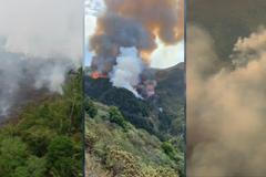 Ničivé požáry v roce 2019: Amazonie, Kanáry, Sibiř