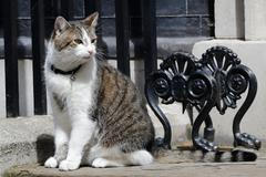 "Vrchní myšilov" Larry z Downing Street
