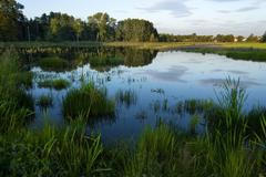 Životní prostředí - projekty EU 13