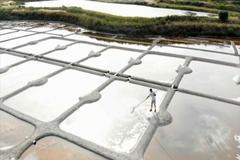 Sůl nad zlato. Ve Francii ji těží původním keltským způsobem a má nejlepší pověst