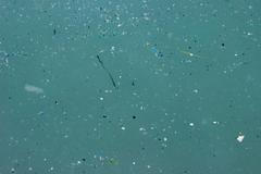 Mikroplasty / Životní prostředí / Ekologie / Znečištění / Riziko / Zdraví / Shutterstock