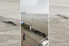 Příšera ze Tří soutěsek je ve skutečnosti 20 metrů dlouhý průmyslový airbag