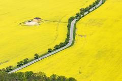 Řepkoland - letecké pohledy na žlutá řepková pole, zabírající více než desetinu půdy