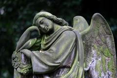 Olšanské hřbitovy