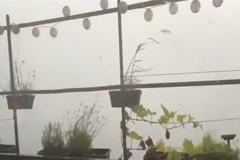 Bouře v Německu zranila až 20 lidí