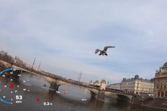 Proleťte se nad Vltavou jako Iron Man. Záběry z kamery na přilbě