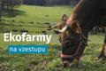 ekofarmy na vzestupu