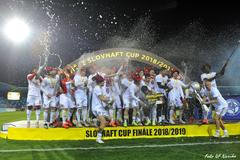 fotbal, Slovenský pohár 2018/2019, radost hráčů Spartaku Trnava