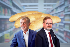 Andrej Babiš, Petr Fiala - Ikona, poutací foto