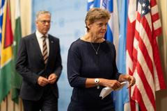 U.N. Security Council in New York