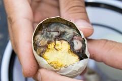 Obrazem: Jídla z pekla, nebo nebe? 18 šokujících delikates světa