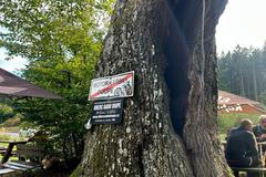 Buchlovské lesy, zatáčky, motorkáři, radary, nehody