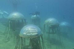 Film a architerktura, festival,