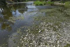 Karviná; sucho; řeka Olše; bez vody; foto: Ramík Drahoslav