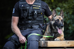 Policie, Moravskoslezský kraj, pes, Ragnar, zloděj, krimi