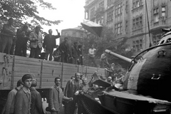 Holka Ferrari Dino, film