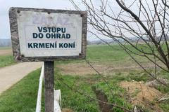 Dlouho zavřený hřebčín Napajedla a jeho poslední koně na pastvinách (2. 4. 2025)