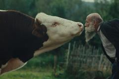 Trailer z filmu Raději zešílet v divočině