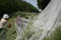 Ukrajinci instalovali ochranné sítě proti ruským dronům na silnici mezi Kramatorskem a Dobropillijí