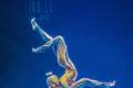 Kurios, Cirque du Soleil