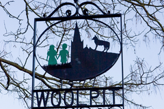 Záhada zelených dětí: Co skutečně zaznamenali středověcí kronikáři?, Záhady, Zelené děti, Magazín, codagalerie