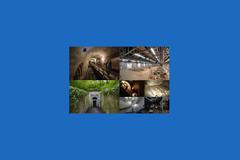 Tajemství pražského podzemí: Město, o jehož existenci jste nevěděli.