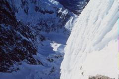 Alison Hargreavesová