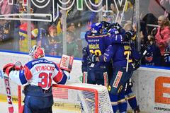 Hokejisté Českých Budějovic slaví gól proti Pardubicím