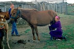 Kazachstán kočovníci
