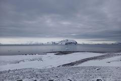 Antarktida, polární stanice, pokrývač