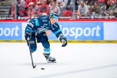 Liberecký hokejový útočník Jaromír Pérez