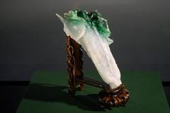 Hlávka zelí, jadeit, výstava