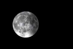 Modrý úplněk 19.8.2024