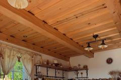 chalupa, les, bydlení, příběh, interiér, exteriér, příroda, chata