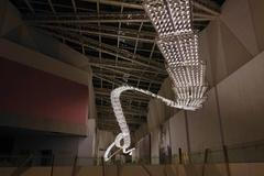 lustr, Crystal Caviar, rekord