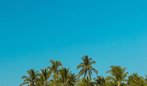 cestovatelka, život